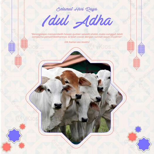 Banner Idul Adha 4